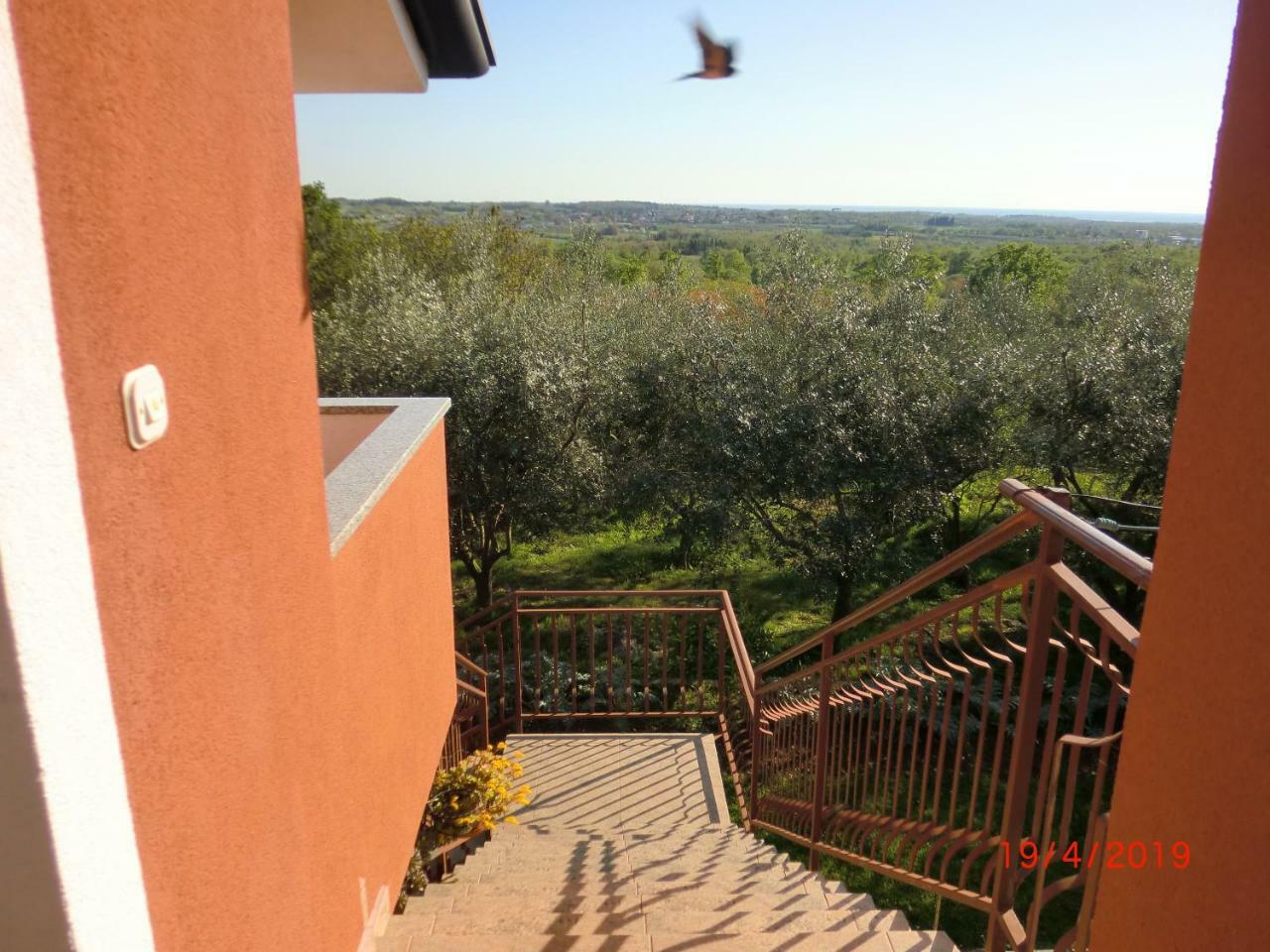Apartment Zita With 1 Bedroom In Relaxing Surroundings Near Umag Dış mekan fotoğraf